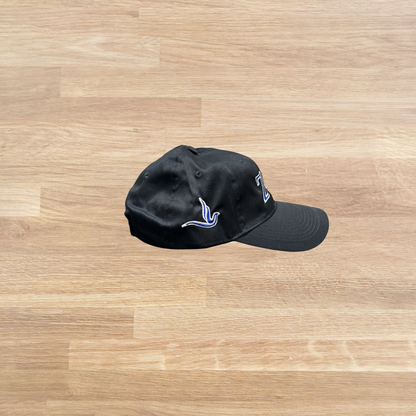 Zeta Phi Beta Cap