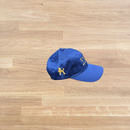 Sigma Gamma Rho Cap