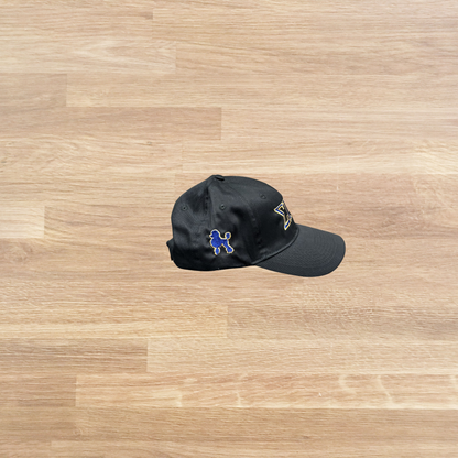 Sigma Gamma Rho Cap
